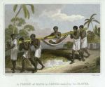 Africa, a person of Rank being carried in Congo, 1807