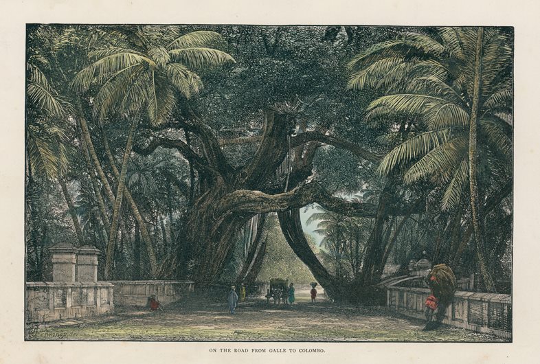 Sri Lanka, road between Galle and Colombo, 1891