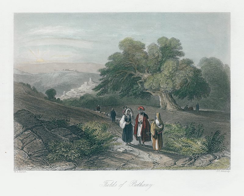 Jordan, Fields of Bethany, 1850