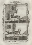 Bats, Small Horseshoe & Long Eared Bats, after Buffon, 1785
