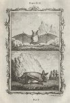 Bat, after Buffon, 1785