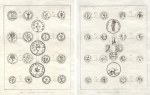 Jewish coins, (two prints), Calmet, 1800