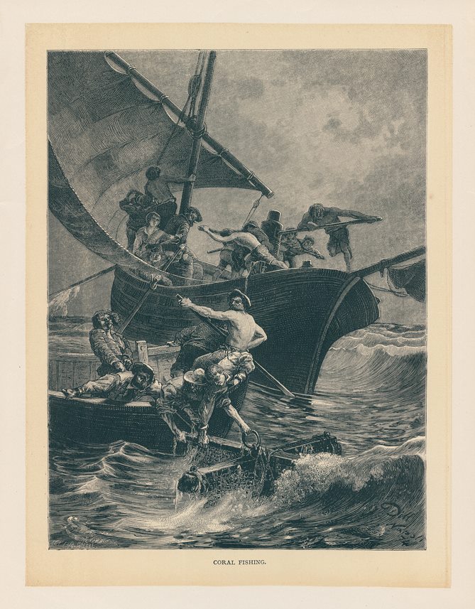 Coral Fishing, 1877