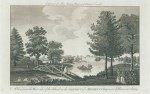 Surrey, Cobham, Garden of Hopkins Esq., 1779