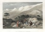 Cedars of Lebanon,1836