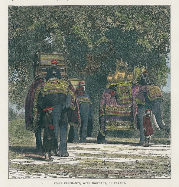 India, State Elepahnts, with Howdars, on Parade, 1891