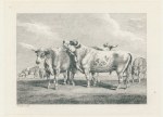 Cattle, by Howitt, 1812
