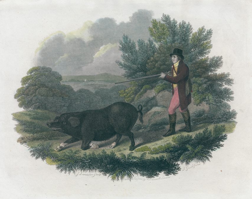 Huntsman & black pig, after T.Gooch, 1805