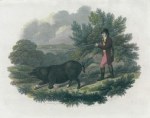 Huntsman & black pig, after T.Gooch, 1805