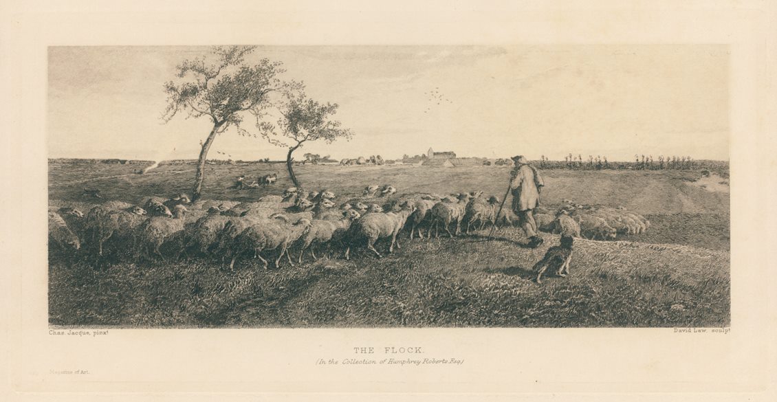 'The Flock' etching by David Law after Chas. Jacque, 1896