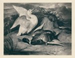 The Widow (ducks), Woodbury print after Landseer, 1878