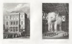 Paris, Theatre de L'Ambigu Comique & Model de L'Elephant, 1840