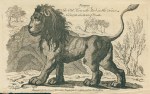 Pompey, Lion that lived in the Tower of London, 1758