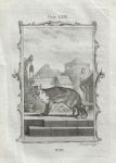 Fox, after Buffon, 1785