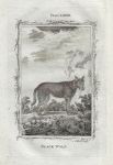 Black Wolf, after Buffon, 1785