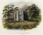 Hampshire, King John's Castle, Odiham, 1869