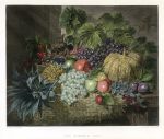 d The Summer Gift (fruit), The National Gallery, c1850