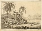 India, Hunting a Kuttauss (Civet), by Howitt, 1808
