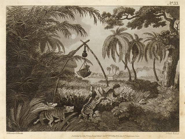 India, Wolf Trap, by Howitt, 1808