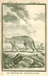 Cougar of Pennsylvania, 1777