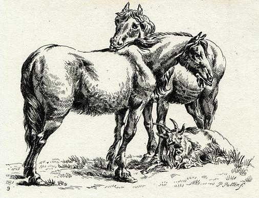 Horses, etching after Paulus Potter, 19th century