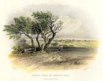 Scotland, Battle Field of Preston Pans, 1845