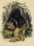 Grisly Bear, after Landseer, 1840