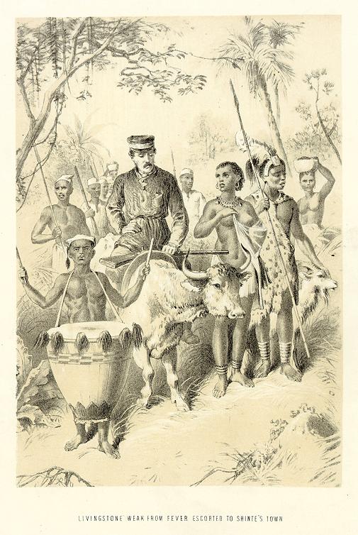 Africa, Livingstone weak from fever, 1875