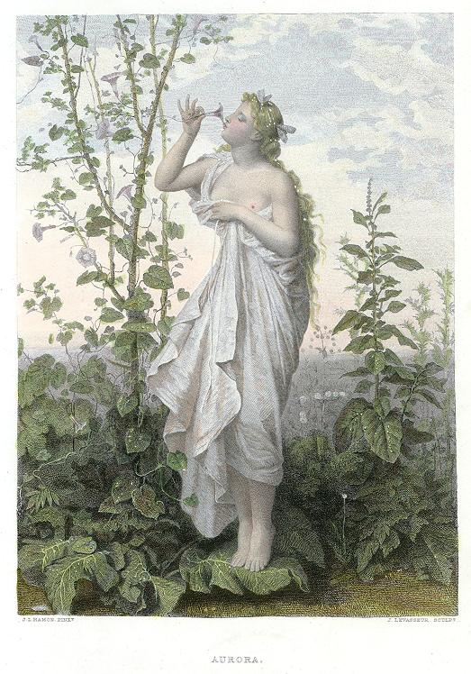 Aurora, 1878