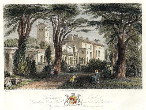 Surrey, Ockham Park, 1850