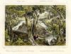 USA (New York), Waterfall at Schooley, 1843