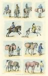 Horse studies by Pyne, 1814