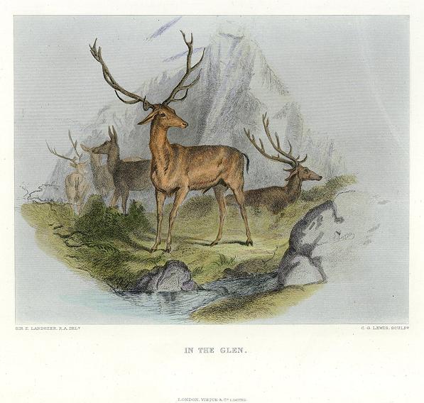 In the Glen, (stags) by Landseer, 1878