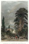 Westmoreland, Approach to Ambleside, 1833