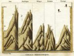 Mountain Heights, 1830