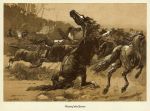 Australia, Shooting Wild Horses, 1888
