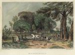Hampshire, Mitcheldeven, 1839