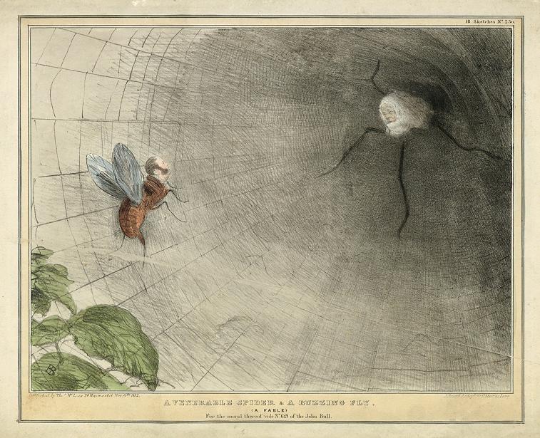 The Venerable Spider & a Buzzing Fly, political caricature by John Doyle, 1832