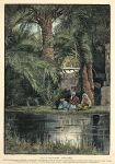 Sinai, Ayun Musa, Under the Palms, 1880