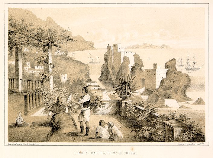 Portugal, Funchal on Madiera, 1850