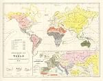 digital download map of world ethnographic distribution, 1850